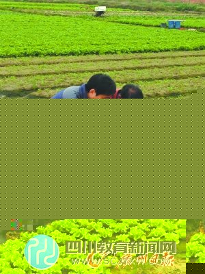 “海歸”為圓夢放棄繼承家族生意自己創(chuàng)