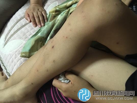 夏令營亂象：“西點軍?！笔軅麩o人問 退款無門