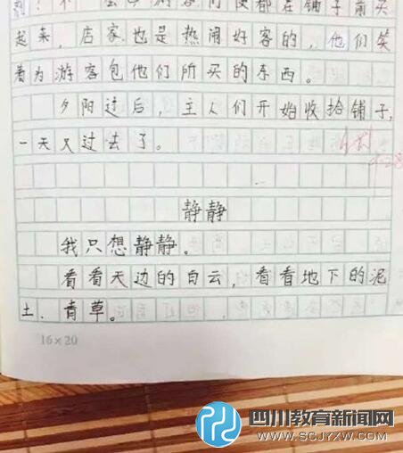 浙江6年級(jí)女生作文：高速變慢速 堵車堵成羊肉串