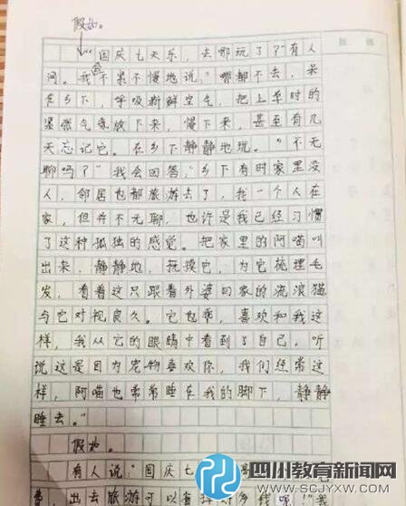 浙江6年級(jí)女生作文：高速變慢速 堵車堵成羊肉串