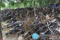 畢業(yè)季，濟(jì)南一高校又現(xiàn)自行車“墳場”