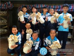 蜀西實(shí)驗(yàn)學(xué)?！版邏粼贰遍_園啦！